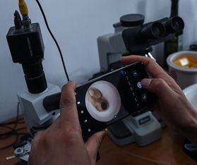 浙江湖州春季鱼苗工厂销售旺盛，家政服务需求同步增长